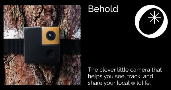 Imagen OG de Behold