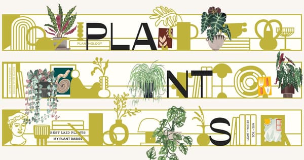 Imagen OG de How Many Plants