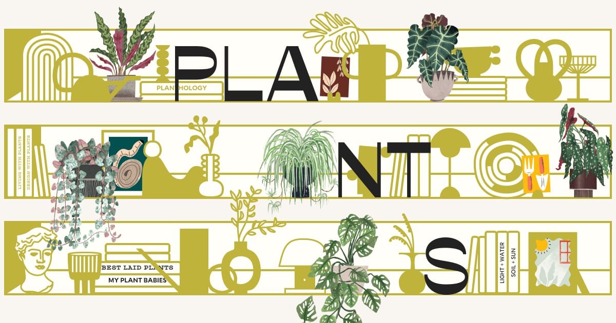 Imagen OG de How Many Plants